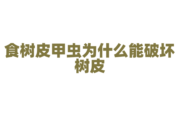 食树皮甲虫为什么能破坏树皮，它的口器和生存策略有什么危害？