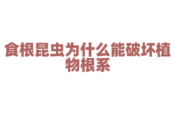 食根昆虫为什么能破坏植物根系，它的取食方式和对植物的危害有什么特点？