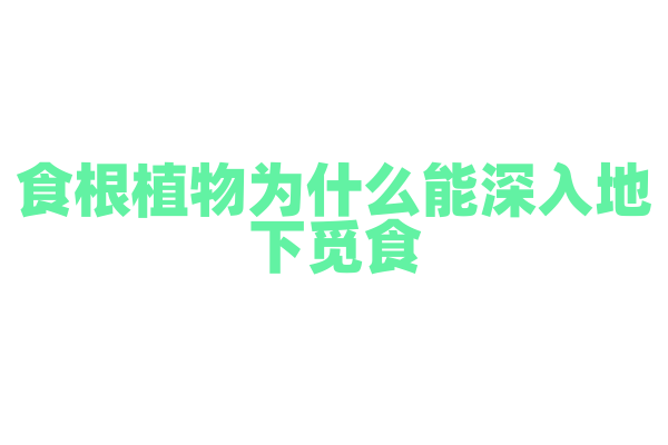 食根植物为什么能深入地下觅食，它的根系结构和生长方式有什么特点？