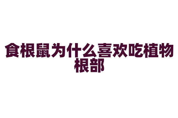食根鼠为什么喜欢吃植物根部，它的食性和生态位有什么特点？