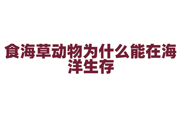 食海草动物为什么能在海洋生存，它的身体结构和海洋环境有什么适应性？