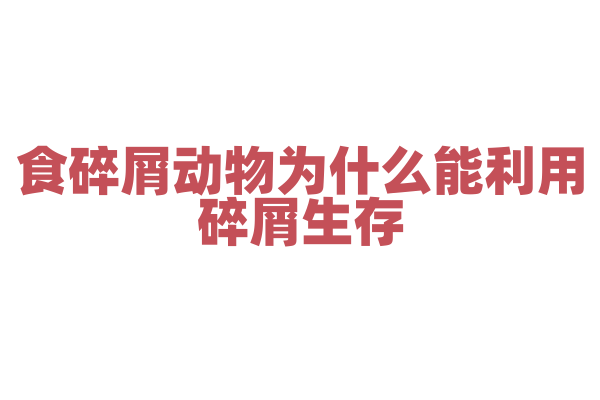 食碎屑动物为什么能利用碎屑生存，它的消化系统和生态功能是什么？