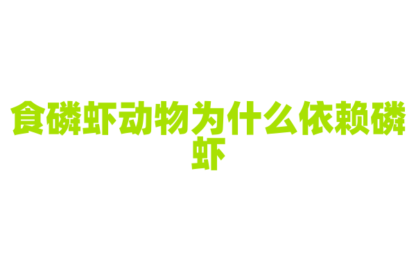 食磷虾动物为什么依赖磷虾，磷虾的营养和生态地位有什么重要性？