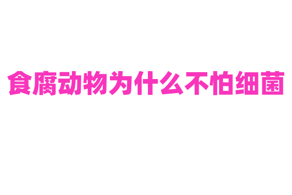 食腐动物为什么不怕细菌，它们的消化系统有什么特殊之处？