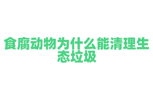 食腐动物为什么能清理生态垃圾，它的生态角色和重要性是什么？