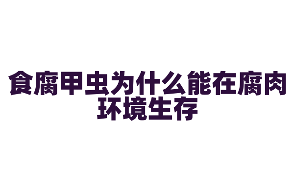 食腐甲虫为什么能在腐肉环境生存，它的免疫系统和生存策略是什么？