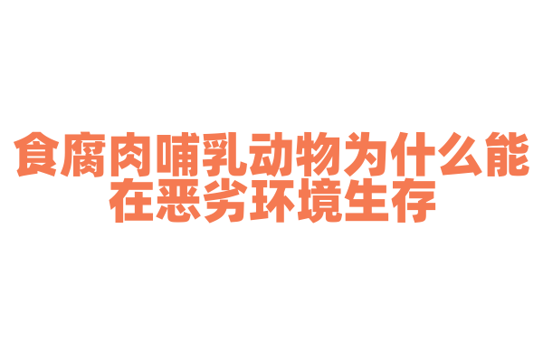食腐肉哺乳动物为什么能在恶劣环境生存，它的生存策略和生态地位有什么特点？