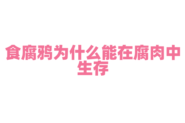 食腐鸦为什么能在腐肉中生存，它的免疫系统有什么特殊之处？