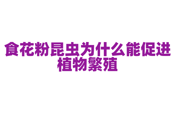食花粉昆虫为什么能促进植物繁殖，它的传粉行为和植物生殖有什么关系？