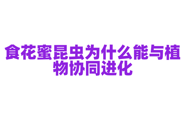 食花蜜昆虫为什么能与植物协同进化，它的进化历程和生态关系有什么特点？