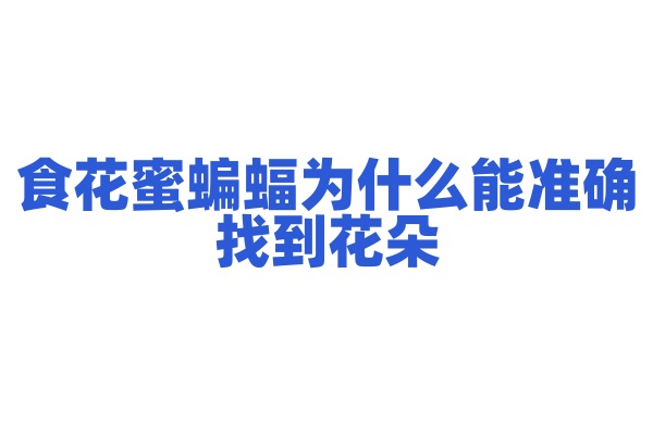 食花蜜蝙蝠为什么能准确找到花朵，它的嗅觉和回声定位有什么作用？