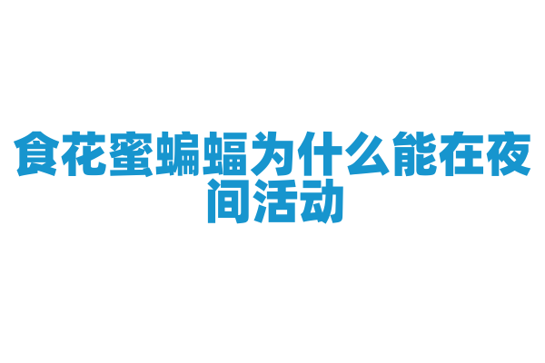 食花蜜蝙蝠为什么能在夜间活动，它的感官和生理特征有什么适应性？