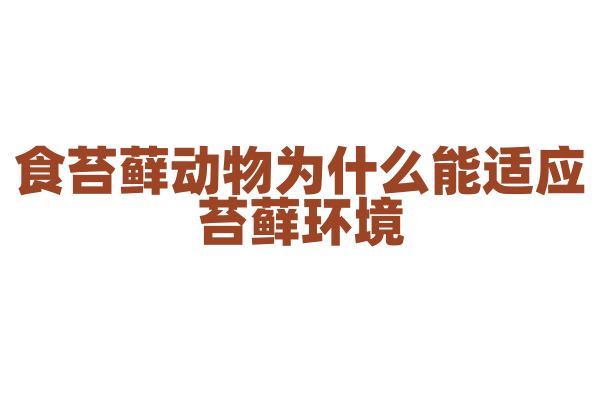 食苔藓动物为什么能适应苔藓环境，它的生活习性和生态位有什么特点？
