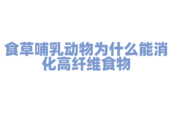 食草哺乳动物为什么能消化高纤维食物，它的消化系统和共生微生物有什么作用？