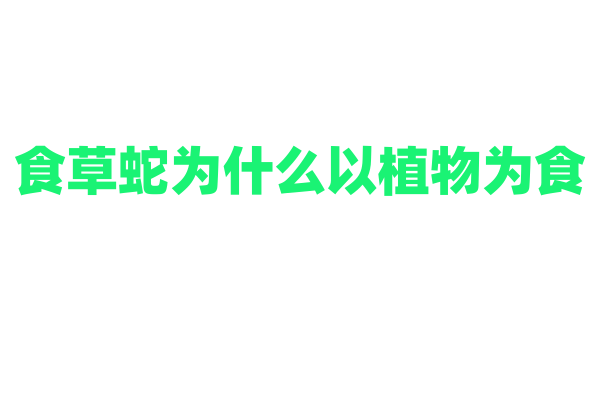 食草蛇为什么以植物为食，它的消化系统和普通蛇类有何不同？
