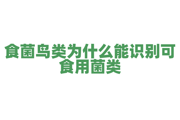食菌鸟类为什么能识别可食用菌类，它的认知能力和生存经验有什么作用？