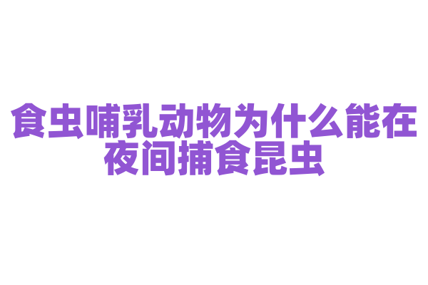 食虫哺乳动物为什么能在夜间捕食昆虫，它的感官和捕食技巧有什么优势？