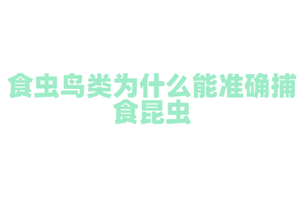 食虫鸟类为什么能准确捕食昆虫，它的视觉和捕食技巧有什么优势？