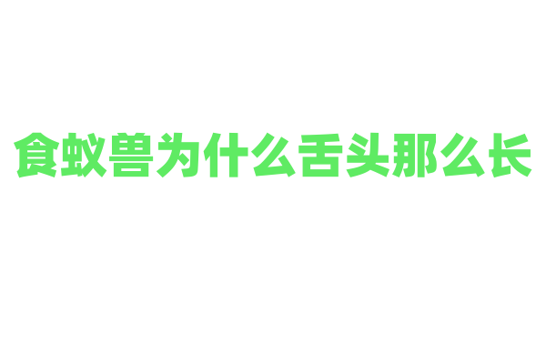 食蚁兽为什么舌头那么长，它的捕食方式是怎样的？