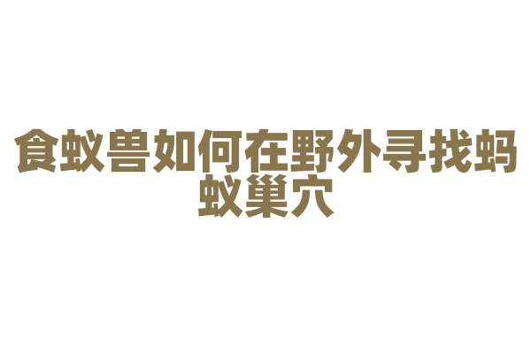 食蚁兽如何在野外寻找蚂蚁巢穴？
