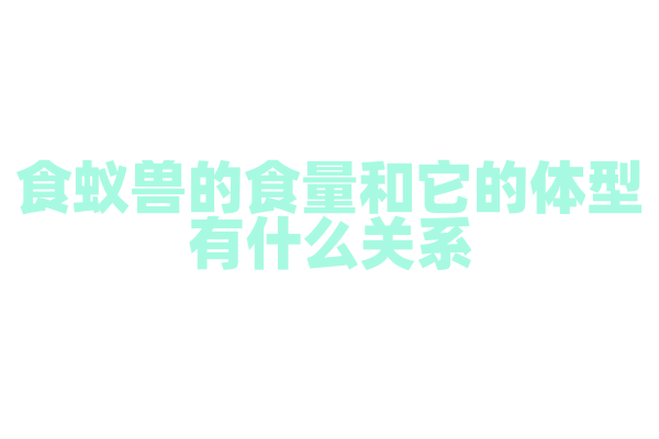 食蚁兽的食量和它的体型有什么关系？