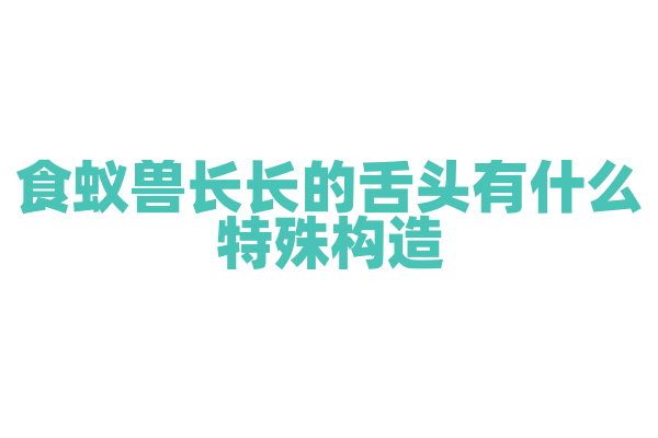 食蚁兽长长的舌头有什么特殊构造？