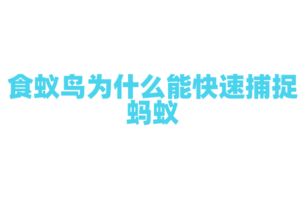 食蚁鸟为什么能快速捕捉蚂蚁，它的舌头和捕食动作有什么特点？