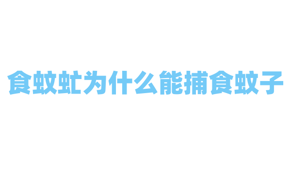 食蚊虻为什么能捕食蚊子，它的捕食技巧和身体结构有什么优势？