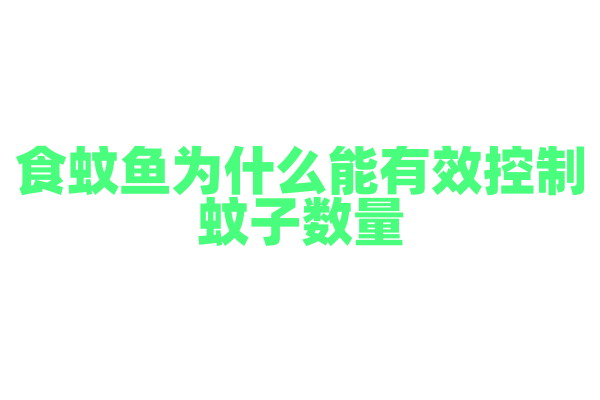 食蚊鱼为什么能有效控制蚊子数量，它的捕食习性和繁殖能力如何？