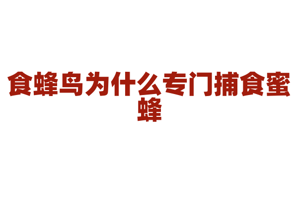 食蜂鸟为什么专门捕食蜜蜂，它是如何躲避蜜蜂攻击的？
