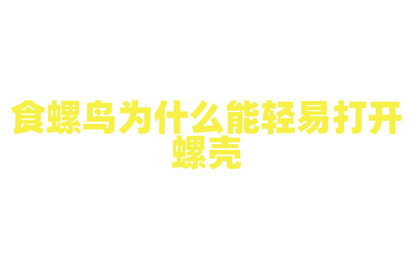 食螺鸟为什么能轻易打开螺壳，它的嘴巴和捕食技巧有什么特点？