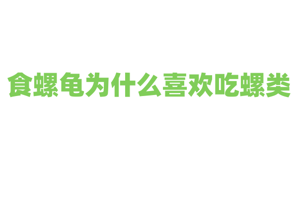 食螺龟为什么喜欢吃螺类，它的嘴巴和消化系统如何适应这种食物？