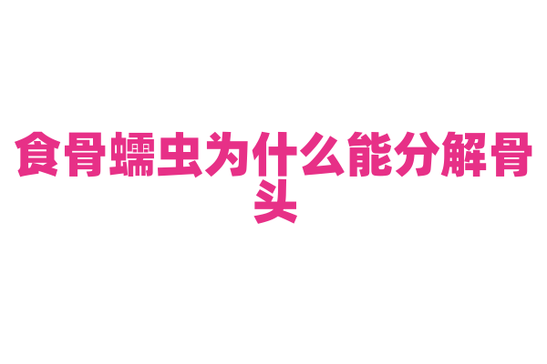 食骨蠕虫为什么能分解骨头，它的生存方式和消化系统有什么奥秘？