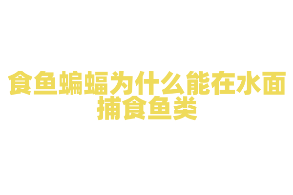 食鱼蝙蝠为什么能在水面捕食鱼类，它的回声定位和捕食方式有什么特点？