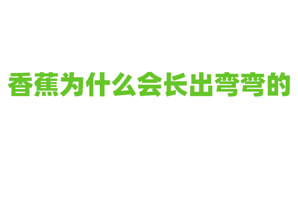 香蕉为什么会长出弯弯的？