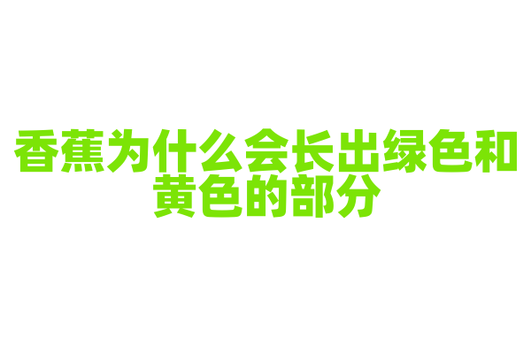 香蕉为什么会长出绿色和黄色的部分？
