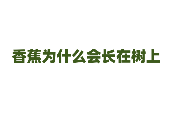 香蕉为什么会长在树上？