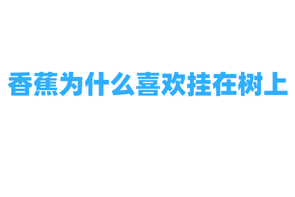 香蕉为什么喜欢挂在树上？
