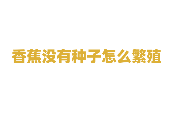香蕉没有种子怎么繁殖，人工培育的方法有哪些？