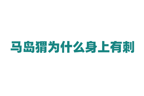 马岛猬为什么身上有刺，它的刺和防御机制有什么不同之处？