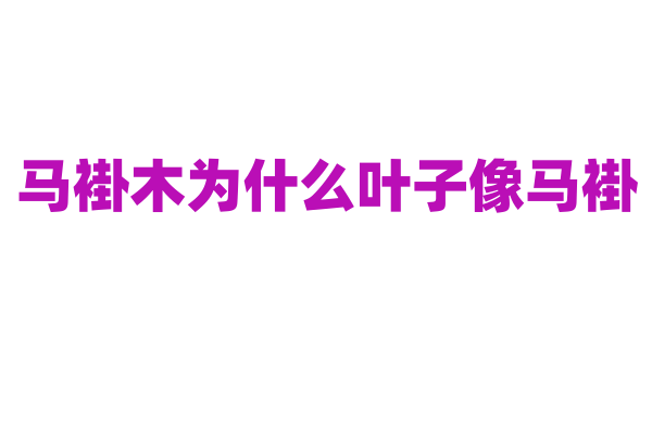 马褂木为什么叶子像马褂，这种独特叶形的进化意义是什么？
