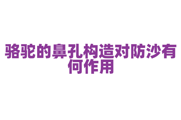 骆驼的鼻孔构造对防沙有何作用？