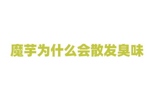 魔芋为什么会散发臭味，它的花序有什么特别之处？