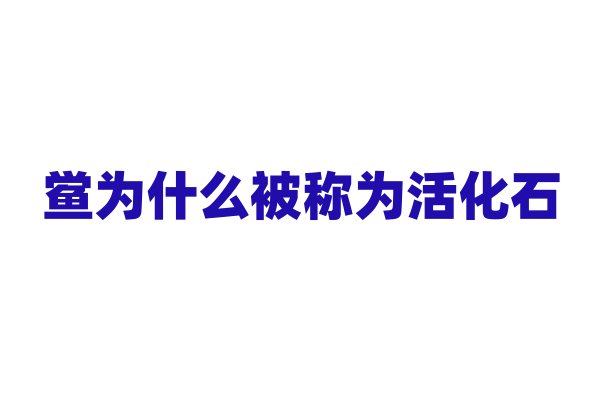 鲎为什么被称为活化石，它在生物进化史上有什么地位？