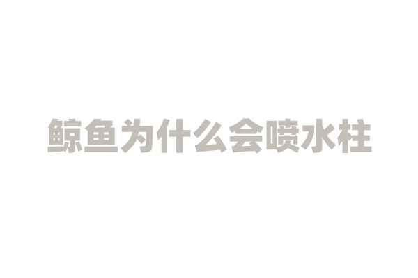 鲸鱼为什么会喷水柱？