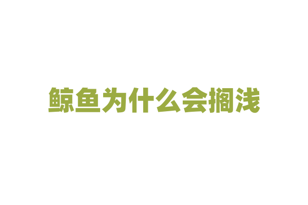 鲸鱼为什么会搁浅，有什么办法可以避免吗？
