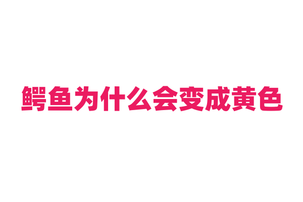 鳄鱼为什么会变成黄色？