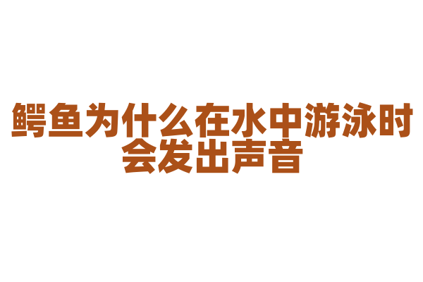 鳄鱼为什么在水中游泳时会发出声音？