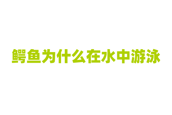 鳄鱼为什么在水中游泳？