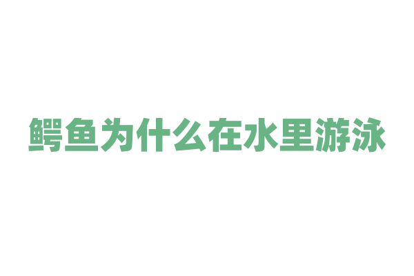 鳄鱼为什么在水里游泳？